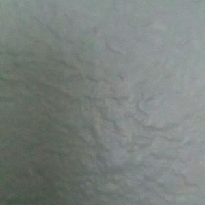 Meet your Posher, Tessie